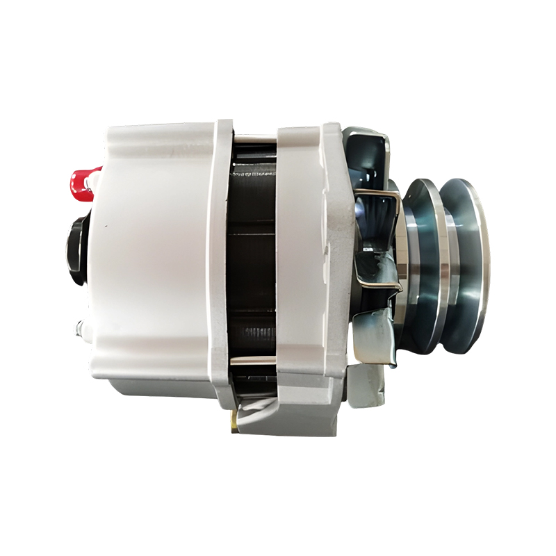 Alternatore auto Bosch 12V 65A F002G10574 per TATA 407 DIESEL 3.0L